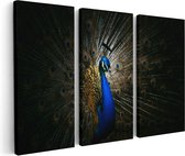 Artaza Tableau sur Toile Triptyque Paon Bleu avec Grandes Ressorts - 150x100 - Groot - Photo sur Toile - Impression sur Toile