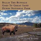 Billie The Buffalo Goes To Great Sand Dunes National Park