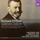 Laura Roelofs, Seth Keeton, Stefan Koch & Mary Siciliano - Chamber Music, Volume Two (CD)
