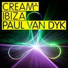 Cream Ibiza