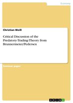 Critical Discussion of the Predatory-Trading-Theory from Brunnermeier/Pedersen