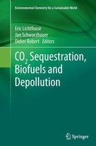 CO2 Sequestration, Biofuels and Depollution