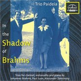 Im Schatten Von Brahms Vol. 1
