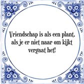 Tegeltje met Spreuk (Tegeltjeswijsheid): Vriendschap is als een plant, als je er niet naar om kijkt vergaat het! + Kado verpakking & Plakhanger