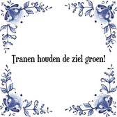 Tegeltje met Spreuk (Tegeltjeswijsheid): Tranen houden de ziel groen! + Kado verpakking & Plakhanger