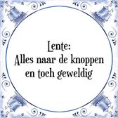 Tegeltje met Spreuk (Tegeltjeswijsheid): Lente: Alles naar de knoppen en toch geweldig + Kado verpakking & Plakhanger