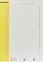 42x Elba ruiterstrook type 9, vel met 31 etiketten, geel