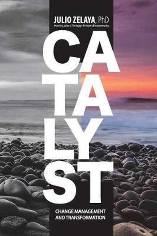 Catalyst, Julio Zelaya 9781721738571 Boeken