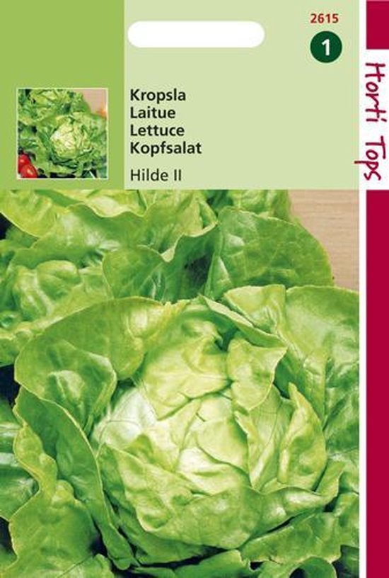 Verpakking met kropsla 'Hilde II' van Horti Tops, met verse, groene bladeren.