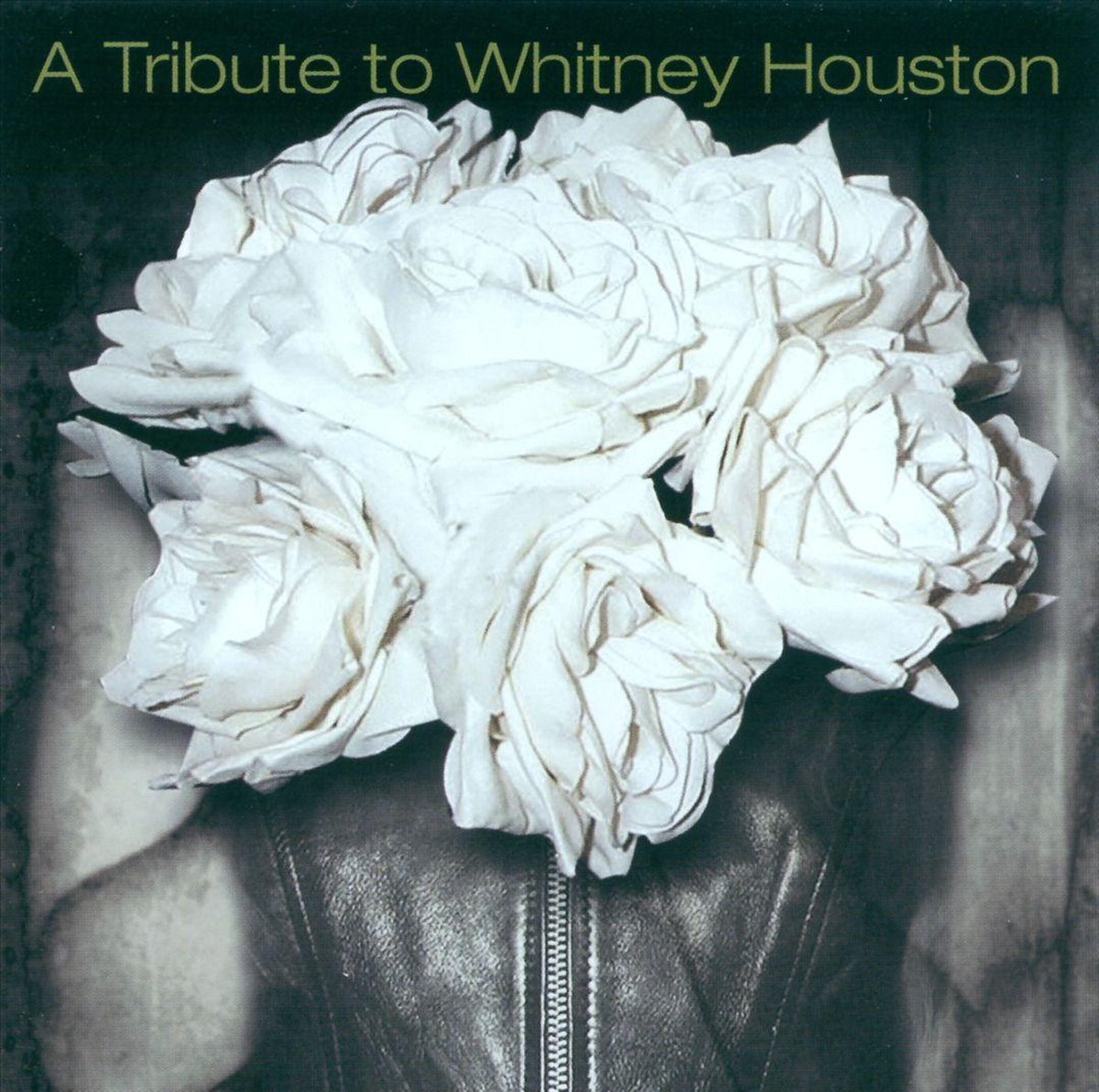 Afbeelding van product A Tribute To Whitney Houston  - various artists