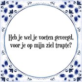 Tegeltje met Spreuk (Tegeltjeswijsheid): Heb je wel je voeten geveegd, voor je op mijn ziel trapte? + Kado verpakking & Plakhanger