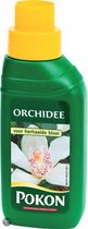 Pokon Plantenvoeding Orchidee - 500 ml