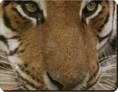 Magical Face of a Bengal Tiger Muismat