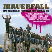 Mauerfall: Das legendäre Konzert für Berlin '89