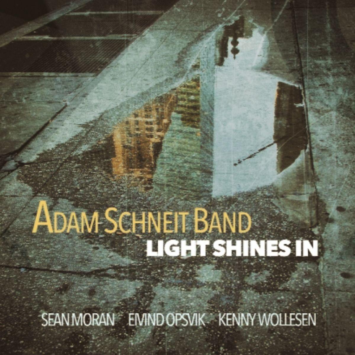 Adam Schneit Band - Light Shines In