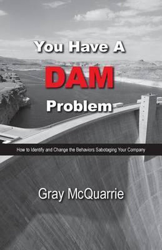 You Have a Dam Problem - cover