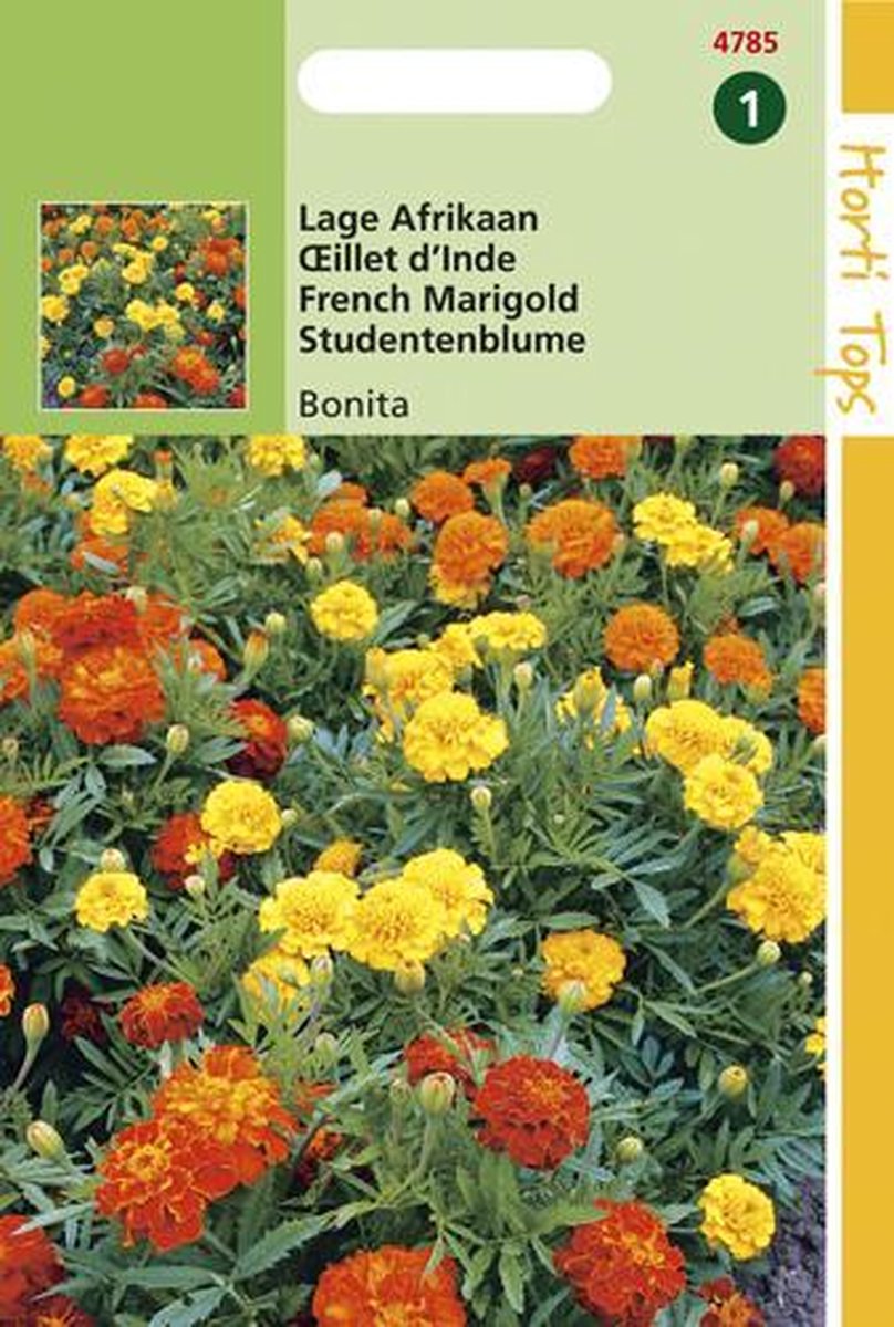 Hortitops zaden - Lage Afrikaan Bloemzaad - Bonita Dubbelbloemig - Gemengd