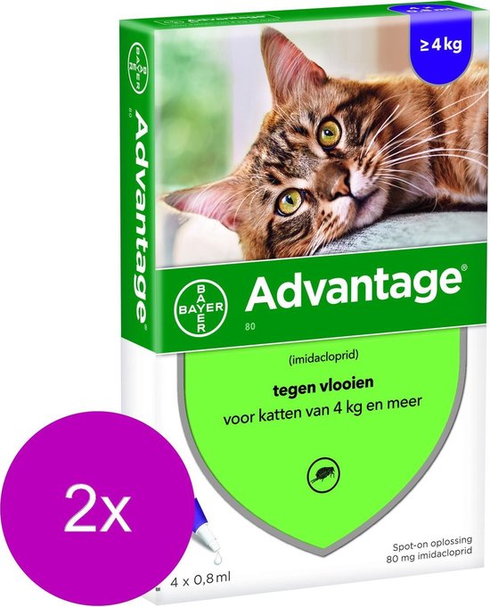 Advantage 80 Kat 4 pip - Anti vlooienmiddel - 2 x 0.8 ml -  > 4 Kg - Advantage