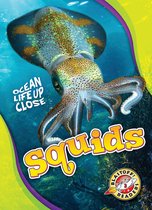 Ocean Life Up Close - Squids