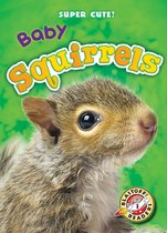 Super Cute! - Baby Squirrels