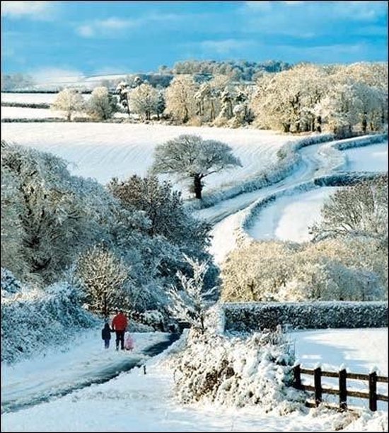 5 kerstkaarten woodmansterne winterlandschap 2