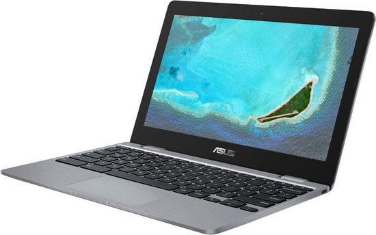 Asus Chromebook 12 C223NA-GJ006