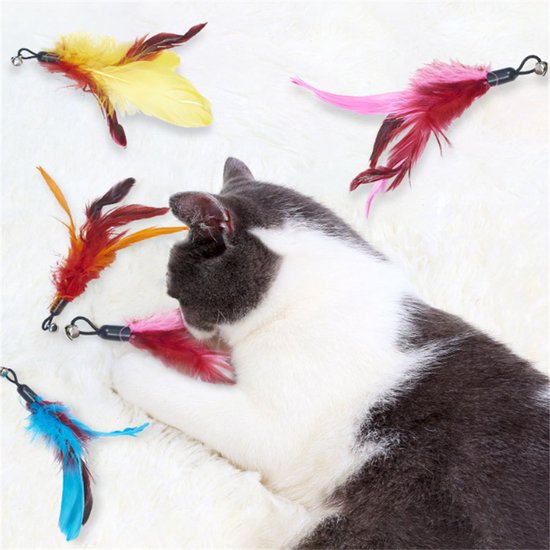 Een grijze en witte kat speelt met speelgoed met veren in rood, roze, geel en blauw.