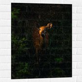 WallClassics - Muursticker - Hertje in het Bos - 60x80 cm Foto op Muursticker