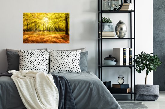 Affiche Arbre - Nature - Soleil - Paysage - Forêt - 90x60 cm