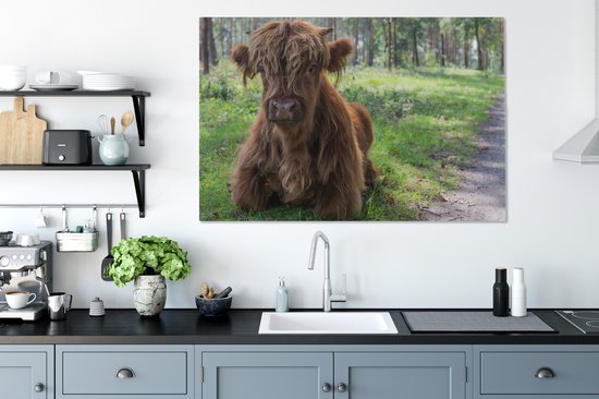 Tableau sur Toile Scottish Highlander - Crapaud - Animaux - 120x80 cm - Décoration murale