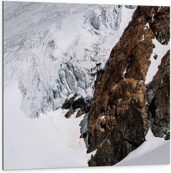 WallClassics - Dibond - Bruine Berg met Sneeuw - 100x100 cm Foto op Aluminium (Met Ophangsysteem)