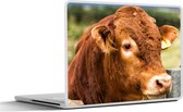 Laptop sticker - 15.6 inch - Schotse Hooglander - Berg - Hek - 36x27,5cm - Laptopstickers - Laptop skin - Cover
