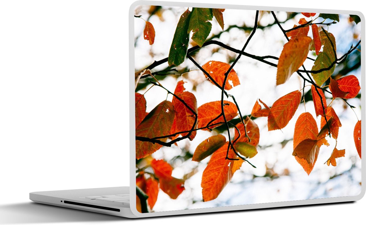 Laptop sticker - 15.6 inch - Herfst - Bladeren - Landelijk - Seizoenen - 36x27,5cm - Laptopstickers - Laptop skin - Cover