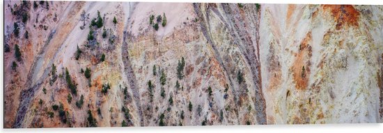 WallClassics - Dibond - Bovenaanzicht van Beige Bergen met Bomen - 120x40 cm Foto op Aluminium (Wanddecoratie van metaal)