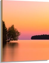 WallClassics - Hout - Boom over Water bij Oranje/Roze Lucht - 75x100 cm - 12 mm dik - Foto op Hout (Met Ophangsysteem)