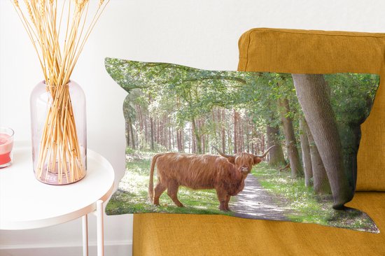 Sierkussen Indoor Forest Life - Highlander écossais sur la route - 60x40 cm - Coussin intérieur rectangulaire en coton