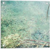 WallClassics - Tuinposter – School Vissen in Helder Lichtblauw Water - 50x50 cm Foto op Tuinposter  (wanddecoratie voor buiten en binnen)