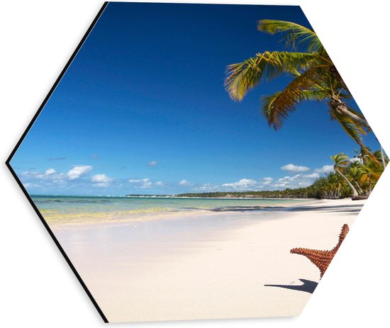 WallClassics - Dibond Hexagon - Zeester op een Tropisch Strand - 30x26.1 cm Foto op Hexagon (Met Ophangsysteem)