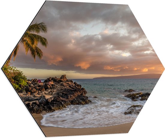 WallClassics - Dibond Hexagon - Tropisch Strand - 80x69.6 cm Foto op Hexagon (Met Ophangsysteem)