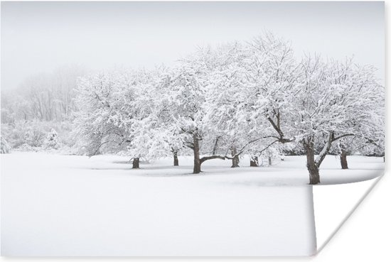 Poster - Het winterlandschap in het Noord-Amerikaanse New Jersey