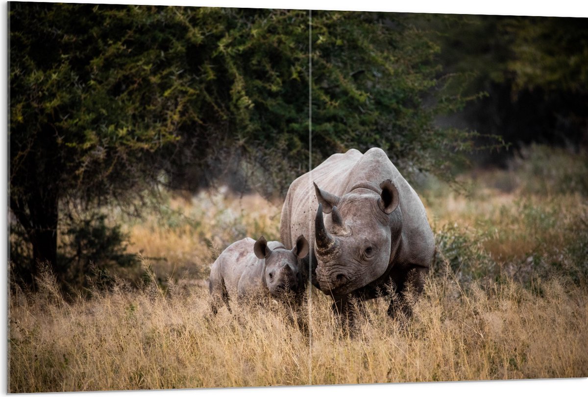 Acrylglas - Neushoorn met Baby in de Natuur - 120x80 cm Foto op Acrylglas (Met Ophangsysteem)