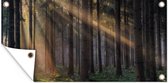 Wanddecoratie buiten Bomen - Bos - Zon - Planten - 160x80 cm - Tuindoek - Buitenposter