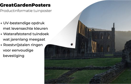 Sunrise at Tintern Abbey in Wales affiche de jardin toile en vrac 50x50 cm - petit - Toile de jardin / Toile d'extérieur / Peintures pour l'extérieur (décoration de jardin)