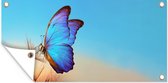 Tuinposter Vlinder - Paardebloem - Blauw - 80x40 cm - Wanddecoratie Buiten - Tuinposter - Tuindoek - Schuttingposter - Tuinschilderij