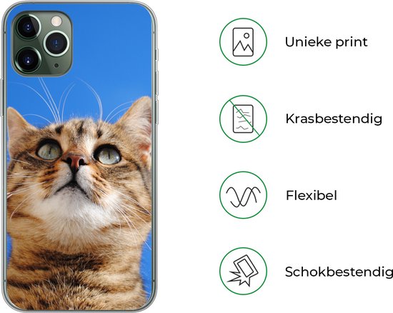 Coque iPhone 11 Pro - Chat - Marron - Ciel - Coque de téléphone en Siliconen