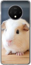 Geschikt voor OnePlus 7T hoesje - Schattige baby cavia - Siliconen Telefoonhoesje