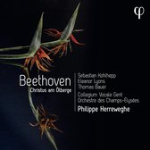 Collegium Vocale Gent, Philippe Herreweghe - Beethoven: Christus Am Ölberge Op.85 (CD)