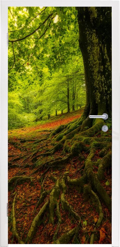 Deursticker Boom - Bos - Herfstbladeren - 75x205 cm - Deurposter