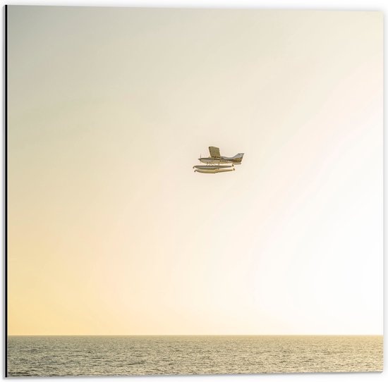 WallClassics - Dibond - Klein Vliegtuig boven het Zeewater - 50x50 cm Foto op Aluminium (Met Ophangsysteem)