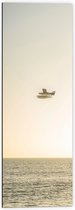 WallClassics - Dibond - Klein Vliegtuig boven het Zeewater - 40x120 cm Foto op Aluminium (Met Ophangsysteem)